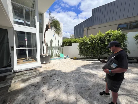 JB crew member assessing a Melbourne courtyard with a large potted palm and surrounding trees